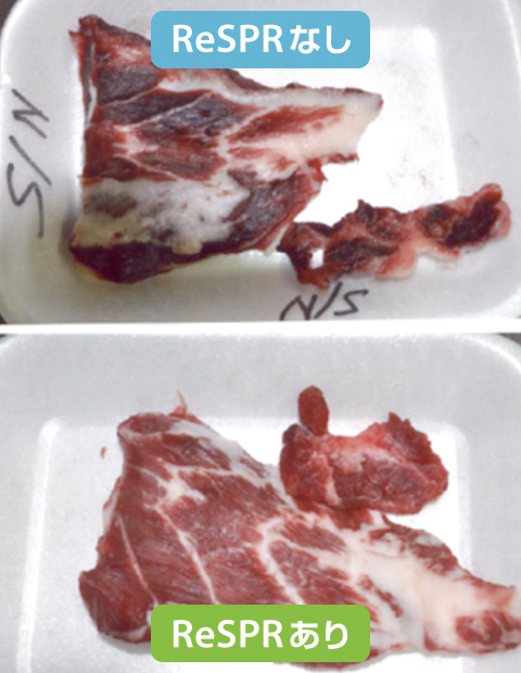 牛肉の鮮度検証